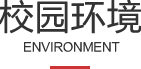 校园环境
